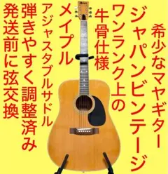 牛骨】 Epiphone！ハミングバードアーティスト青【弾き易く調整☆新品