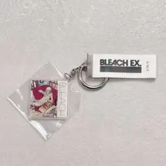 BLEACH EX.原画展 限定 レコードジャケットキーチェーン　平子真子