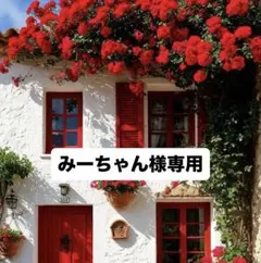 みーちゃん様専用！