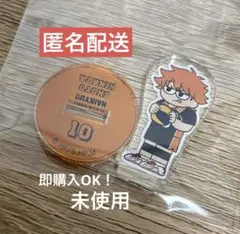 ハイキュー　ジロリ　日向翔陽ミニアクスタ