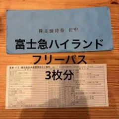 2026年最新】富士急 フリーパス 引換の人気アイテム - メルカリ
