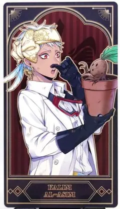 ツイステ アルカナカードコレクション2 カリム 実験着