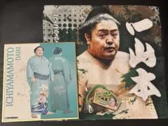 一山本　大相撲ガチャ　力色紙　ミニタオル　ミニ絵馬