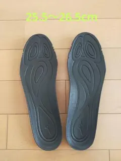 ミズノ モナルシーダ インソール 25.5 〜26.5