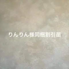 りんりん様専用　同梱割引苗のサムネイル