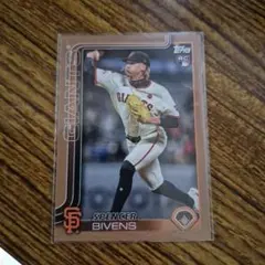 Item thumbnail for item c599a9ea-496c-465e-a043-2d46d7d39423