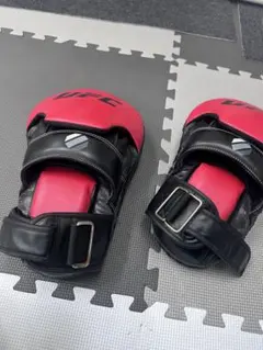 Item thumbnail for item ffa0f9c2-75a5-46e1-bd73-1aa847fb150a