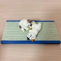 デコレ コンコンブル DECOLE concombre ヘソ天猫 ふみふみ猫 畳のサムネイル