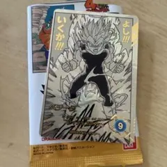 ドラゴンボール スーパーダイバーズ ベジータ ファイルフラッシュ R パラレル