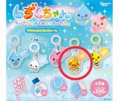 しずくちゃん　アクリルめじるしチャーム　アセオ君