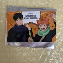 ハイキュー!! 日向翔陽 影山飛雄 ホログラムカード