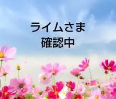 中学3年期末テスト 中学テスト　中学過去問　中学英語　中学数学　中学理科