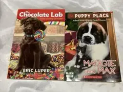 Item thumbnail for item 56799c89-dccb-4be6-90c9-4f876f9fa252