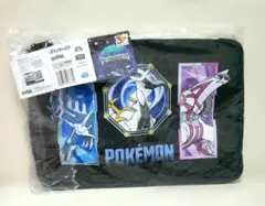 ポケモン　ポケットいっぱいボックスのサムネイル