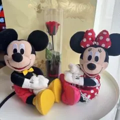 ミッキーとミニー ぬいぐるみセット 約20cm