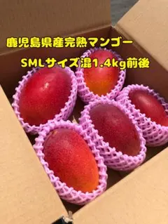 沖縄県産 小さいマンゴー詰め合わせ 約4.7kg - メルカリ