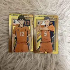 ハイキュー 烏野高校 田中 山口 カードセット
