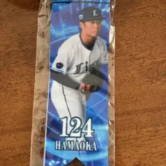 埼玉西武ライオンズ 濱岡 124 ボンフィン