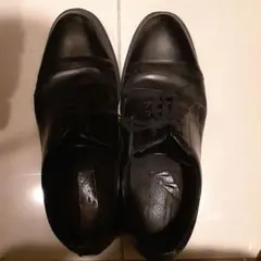 Item thumbnail for item 091dc6da-866e-4847-abb1-71e7c5d10566