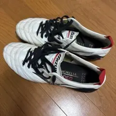 アシックス インジェクター ジャパンSG アシックス インジェクター ジャパンSG - メルカリ
