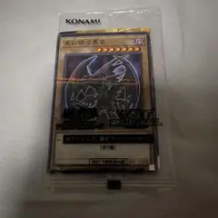 遊戯王　真紅目の黒竜　レッドアイズ　セブンイレブン限定　ノーパラ　未開封のサムネイル