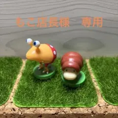 チャツピー バンモドキ　もこ店長様　専用