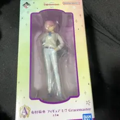 有村麻央　フィギュア