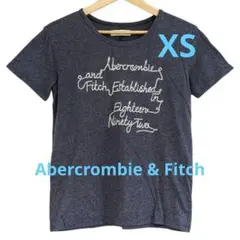 アバクロ Abercrombie and Fitch 半袖Tシャツ ネイビー