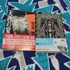 天啓の宴　天啓の器　シリーズ　二冊セット