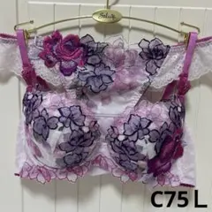 ワコール　サルート　ブラジャー　ショーツ　C75Ｌ