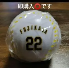 HANSIN Tigers FUJIKASA 22 記念ボールのサムネイル