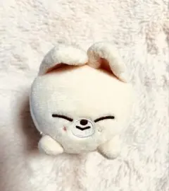 2026年最新】straykids アイエン ぬいぐるみの人気アイテム - メルカリ