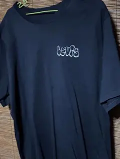 Item thumbnail for item 8f9e8fd2-a370-4e33-84d5-cc05b11ca109