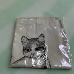 未開封！後ろ姿が可愛い☆Francfrancティッシュボックスクリシア