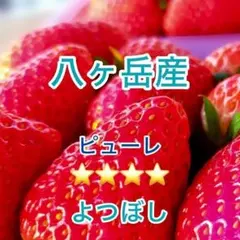 た*ま様 八ヶ岳産 高級いちごピューレ400g　八ヶ岳産 　無添加　3月まで農薬