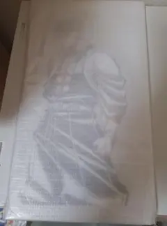 鬼滅の刃 webshopくじ 不死川実弥 S賞 ビッグアクリルスタンド