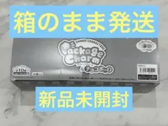 サンリオキャラクターズ　パッケージチャーム&チョコボーロ　10個入一箱　未開封