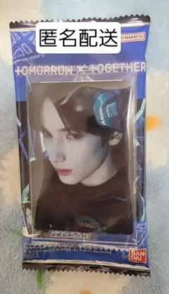 TXT ツインウエハース シール ヒュニンカイ ノーマル N1-05