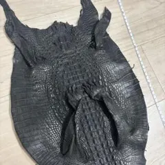 Item thumbnail for item a7cbb9a2-8cbe-46a4-a8a2-b5876e0efd85