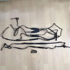 Item thumbnail for item f0d87428-d5b0-4edf-8ed2-c32af06bd3ee