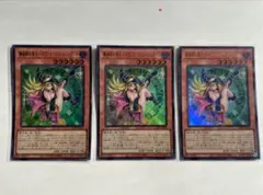 遊戯王魔術師の弟子ブラック・マジシャン・ガール ウルトラ 3枚セット