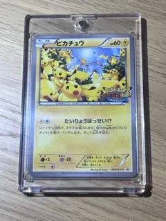 ピカチュウたいりょうはっせい プロモ XYシリーズ プロモ 070/xy-p