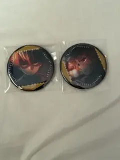 鬼滅の刃 無限城 ものがたる眼差し缶バッジB 我妻善逸