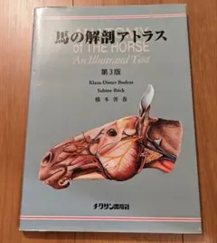 ヒトの脳:神経解剖学・組織学アトラス シンケイ カイボウガク ソシキガク アト… ヒトの脳:神経解剖学・組織学アトラス シンケイ カイボウガク