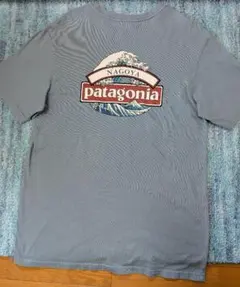 名作 葛飾北斎 アメリカ製 Patagonia パタゴニア Tシャツ 北斎の名画『神奈川沖浪裏』に描かれた山と波をオマージュ｜雑誌Begin