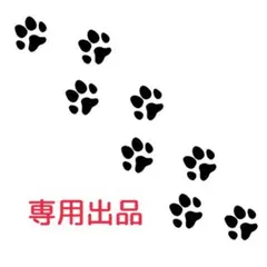 kana様　専用出品