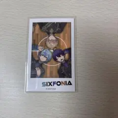 シクフォニ 関西組 チェキ