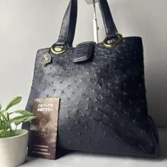 美品✨JRA公認 オーストリッチ ハンドバッグ エキゾチックレザー 黒 ゴールド