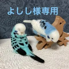 リクエストNO.2580☆セキセイインコ☆2点セット