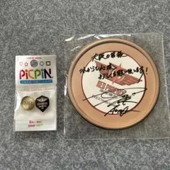 りょお 様専用EXILE 大阪公演フリスビー風ステッカー14人分&ピックピン